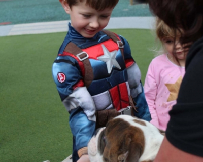 captain-america-meets-biscuit